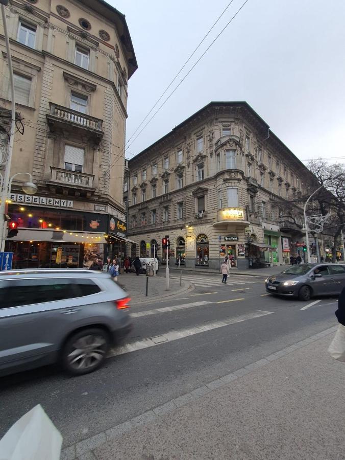 Apartment Casa Wesselenyi - Cosy In The Center